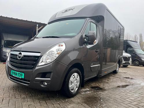 Opel Movano Horsebox STX 2017  39.000 km | Marge-auto, Dieren en Toebehoren, Paarden en Pony's | Trailers en Aanhangwagens, Zo goed als nieuw