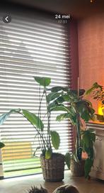 Donker houten jaloezieën, Huis en Inrichting, Ophalen, Zo goed als nieuw