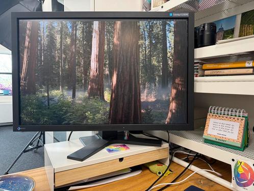 Eizo CG303W - 30inch kantelbaar beeldscherm, Computers en Software, Monitoren, Gebruikt, 60 Hz of minder, DisplayPort, DVI, In hoogte verstelbaar