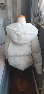 Urban Classics winter jas maat S, Ophalen of Verzenden, Zo goed als nieuw, Maat 36 (S), Zwart