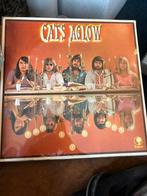 The Cats - Aglow, Ophalen of Verzenden, 1960 tot 1980, Zo goed als nieuw, 12 inch
