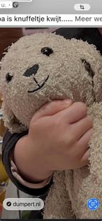 Help !!! Coco is vermist port zelande, Ophalen, Gebruikt, Konijn