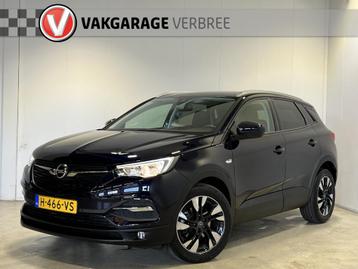 Opel Grandland X 1.2 Turbo Business Executive | Navigatie/An beschikbaar voor biedingen