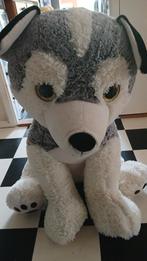 Grote huskey knuffel, Kinderen en Baby's, Speelgoed | Knuffels en Pluche, Ophalen, Zo goed als nieuw, Overige typen