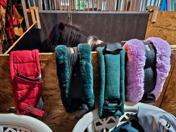 Shetlander spullen, onderleggers, dekens, hoofdstel, mennen beschikbaar voor biedingen