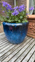 Bloempotten, Tuin en Terras, Bloempotten, Ophalen, Gebruikt, Rond, Minder dan 25 cm
