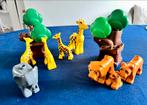 LEGO Duplo Dieren Set, Ophalen of Verzenden, Gebruikt, Duplo