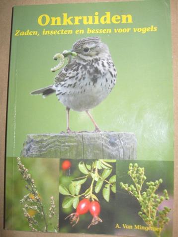 Onkruiden, zaden, insecten en bessen voor vogels.  beschikbaar voor biedingen