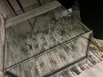 Glazen terrarium, Ophalen, Zo goed als nieuw