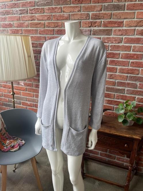Dun vestje van Haily's maat M, Kleding | Dames, Truien en Vesten, Gedragen, Maat 38/40 (M), Grijs, Ophalen of Verzenden