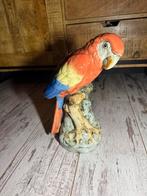 Mooie porseleinen royale dux papegaai, Ophalen of Verzenden
