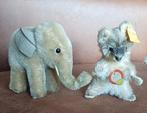 Steiff wasbeertje Raccy + olifantje, Ophalen of Verzenden, Overige typen