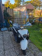 la souris Grande Retro goed onderhouden, Fietsen en Brommers, Snorfietsen en Snorscooters, Gebruikt, Benzine, Ophalen, Overige merken