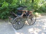 Presentatiewagen in zeer nette staat, Gebruikt, Overige typen, Paard