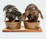 NIEUW Cloud7 Alain voerbak drinkbak set terra puppy / hond, Dieren en Toebehoren, Ophalen of Verzenden, Nieuw