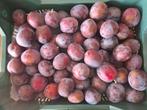 Pruimen te koop, Ophalen