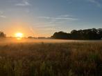 Met spoed weiland te huur gezocht Arnhem zuid e.o., Weidegang
