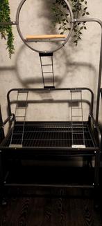 Papegaai zitstok, Dieren en Toebehoren, Mannelijk, Papegaai