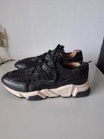 DWRS Los Angeles Teddy, Zwart, Ophalen, DWRS, Sneakers of Gympen