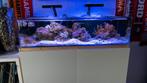 Leeg Zeeaquarium te koop!, Ophalen, Zo goed als nieuw, Leeg aquarium