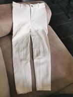 Wedstrijdset paardrijden 10 jaar, Ophalen of Verzenden, Gebruikt, Dressuur, Bovenkleding