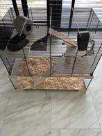 Hamsterkooi karat 60, Kooi, Gebruikt, Minder dan 75 cm, Hamster