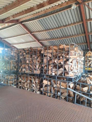 Vers gekloofd MIX (Eik,Beuk,Es,Berk) brandhout (1.2kuub) beschikbaar voor biedingen