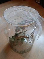 Wandelende Takken, Dieren en Toebehoren, Insecten en Spinnen, Wandelende tak