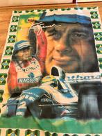 Ayrton Senna Vlag 1994 - Nieuwstaat, Ophalen, Zo goed als nieuw, Overige sporten, Vaantje of Sjaal