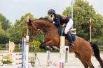 Equiline wedstrijdjasje, Ophalen of Verzenden