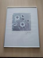 LIJST MET TEKENING, Huis en Inrichting, Ophalen, Minder dan 50 cm, Zo goed als nieuw, Minder dan 50 cm