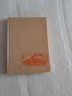 toen haarlem in nood was - piet prins, Boeken, Ophalen of Verzenden, Gelezen