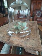 Franse Brocante Cloche Stolp van Glas, Ophalen of Verzenden