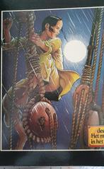 Bourgeon, kinderen van de wind e.a., Meerdere stripboeken, Ophalen of Verzenden, Zo goed als nieuw, Francois Bourgeon