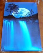 Poster Moon's Water, Ophalen of Verzenden, Zo goed als nieuw, Rechthoekig Staand, Dier of Natuur