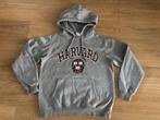 H&M Hoodie  maat S, Kleding | Dames, Maat 38/40 (M), H&M, Verzenden, Zo goed als nieuw