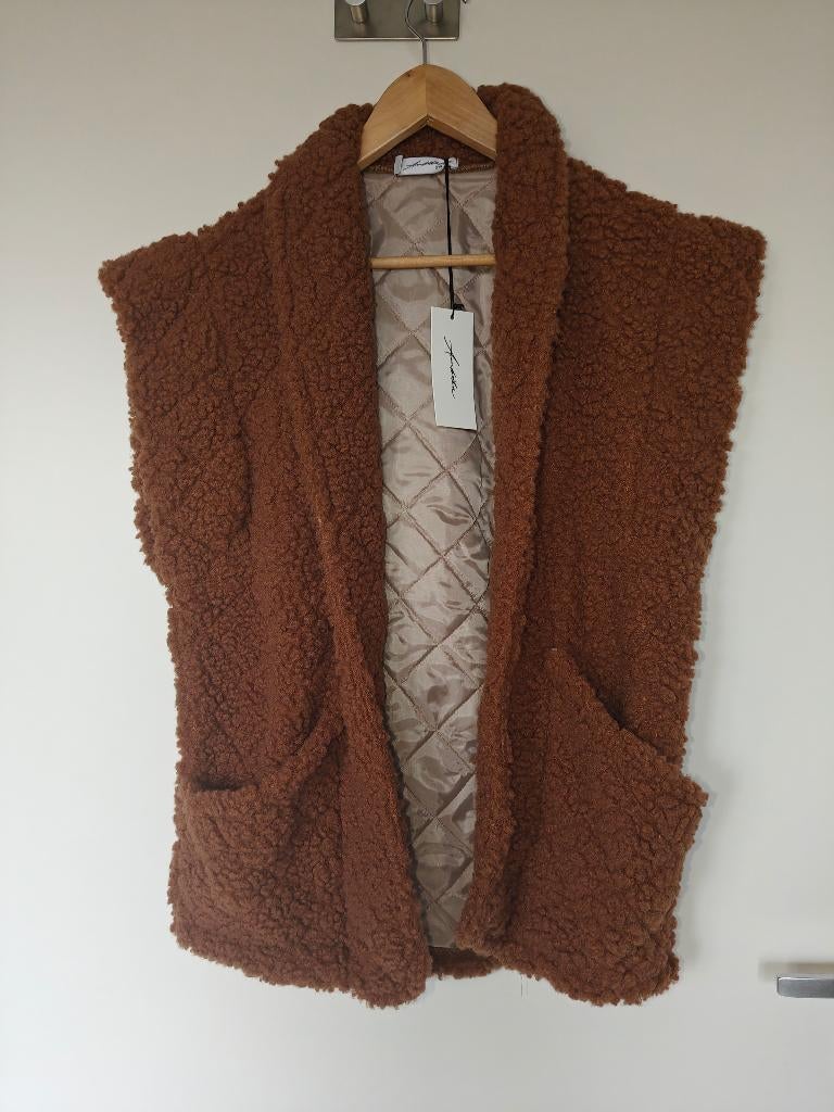 Teddy gilet bodywarmer bruin one size nieuw, Kleding | Dames, Bodywarmers, Bruin, Nieuw, Ambika, Ophalen