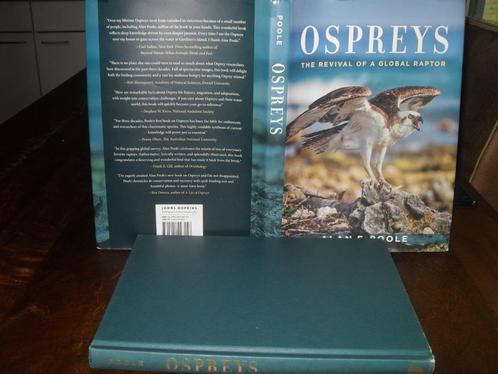 BOEK ALAN POOLE-OSPREYS:THE REVIVAL OF A GLOBAL RAPTOR., Boeken, Encyclopedieën, Gelezen, Los deel, Dieren, Ophalen of Verzenden