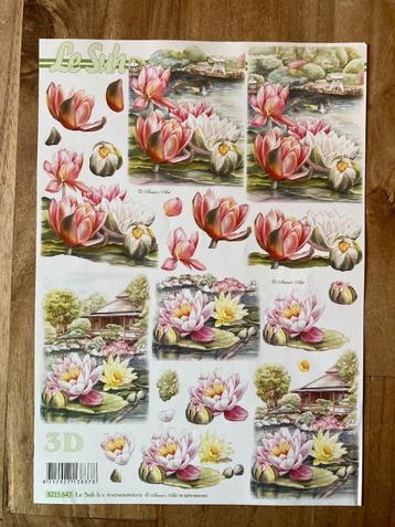 Knipvel Le Suh - bloemen beschikbaar voor biedingen