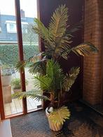 Kunstpalmboom, Ophalen, Zo goed als nieuw, Binnen