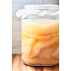 BIO Jun scoby (honing variant) + startersvloeistof, Ophalen of Verzenden