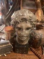 Bronzen Buste alexander, Ophalen