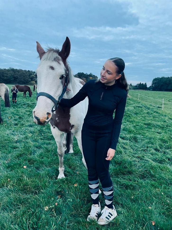 Opzoek naar bijrijd/verzorg paard, Dieren en Toebehoren, Paarden en Pony's | Overige Paardenspullen, Dressuur, Ophalen of Verzenden