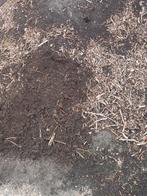 compost essenhoutsnippers  bijna verteerd, Ophalen, Compost