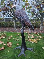 BRONZEN UITZONDERLIJK GROTE AREND MOET JE ZIEN TOP KOOPJE!!!, Ophalen of Verzenden, Nieuw, Overige materialen, Dierenbeeld