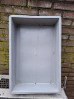 duivenbad, Meerdere dieren, Postduif