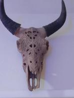 Buffel skull, Ophalen of Verzenden, Zo goed als nieuw, Schedel