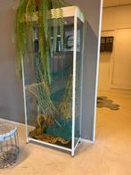 Vitrinekasten, Huis en Inrichting, Ophalen, Met plank(en), Minder dan 50 cm, Gebruikt