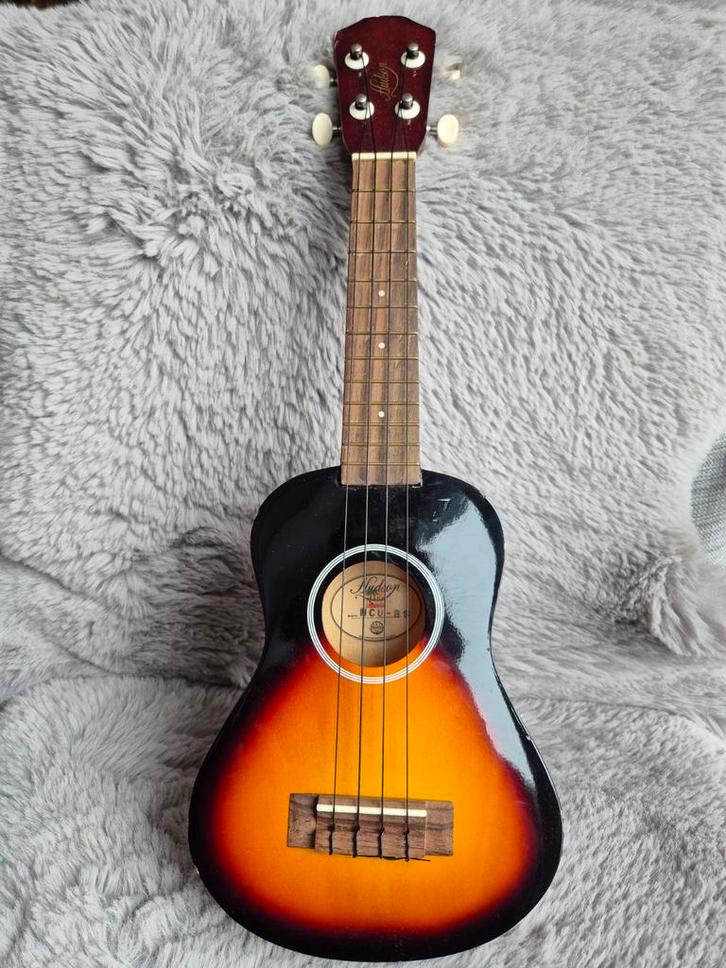 Hudson Ukelele - Mooi instrument!, Muziek en Instrumenten, Snaarinstrumenten | Overige, Gebruikt, Ukelele, Ophalen of Verzenden