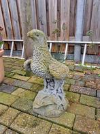 Betonnen Adelaar Tuinbeeld, Tuin en Terras, Tuinbeelden, Ophalen, Gebruikt, Beton, Dierenbeeld
